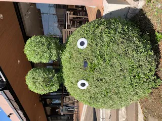 トトロに出会ったよ♪/三上　奈央