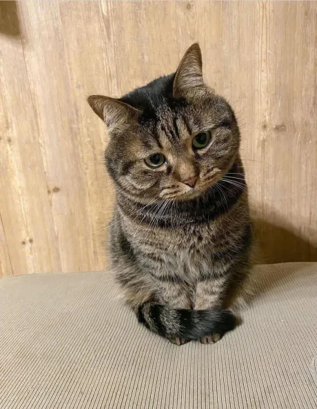 おはよう ( * ・ω・) ノ/なお