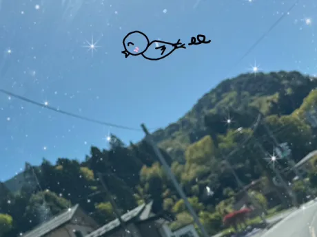 ももこです(^з^)出勤しました/ももこ