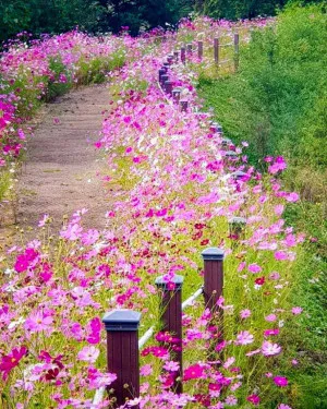 うつろう