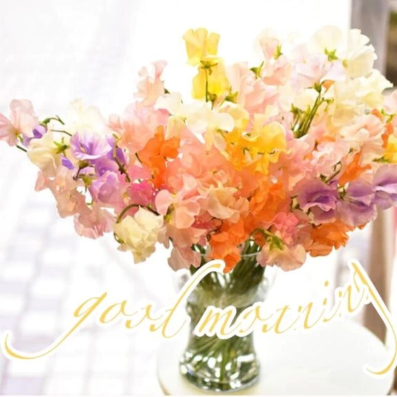 いずみ★色気漂う艶やかな熟女隣の人妻お口で愛して