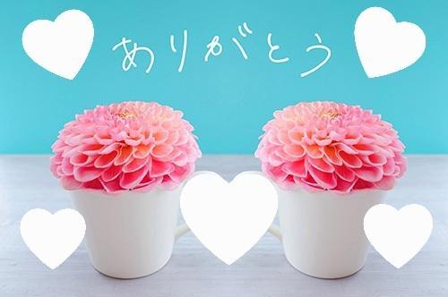 ありがとうございます(*´ω｀*)