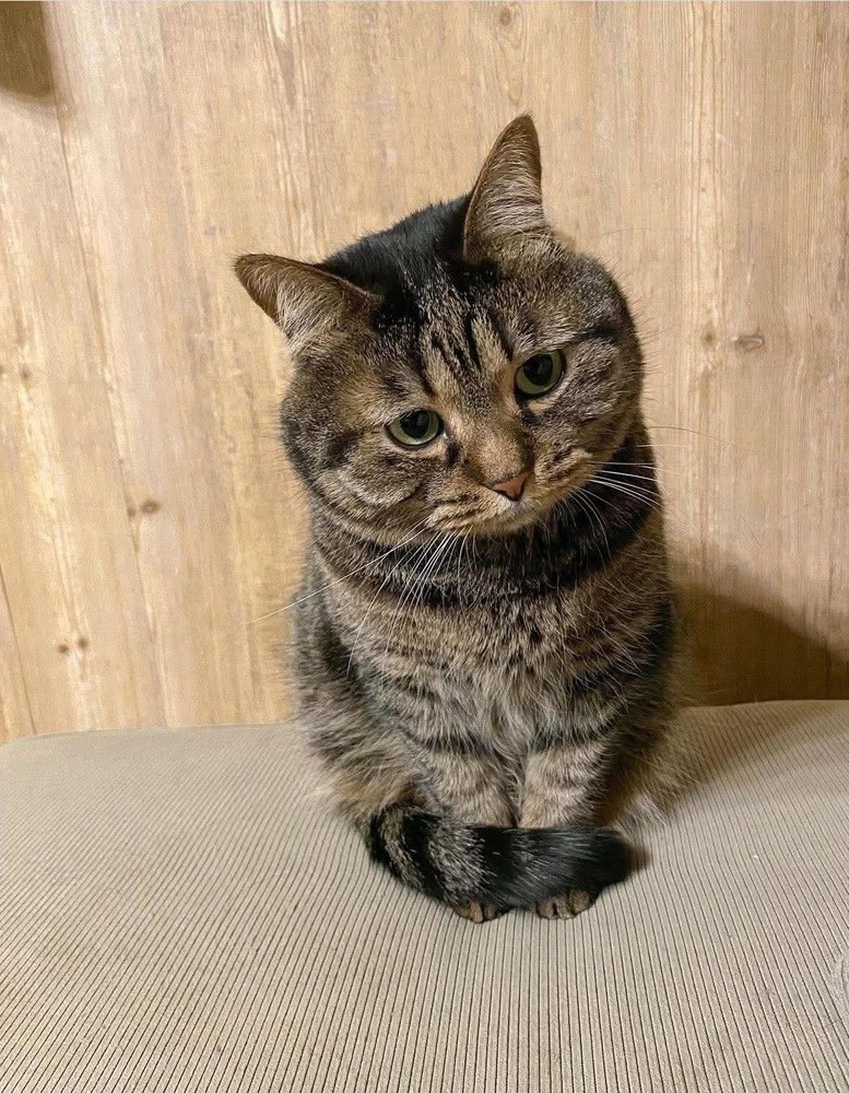 おはよう ( * ・ω・) ノ