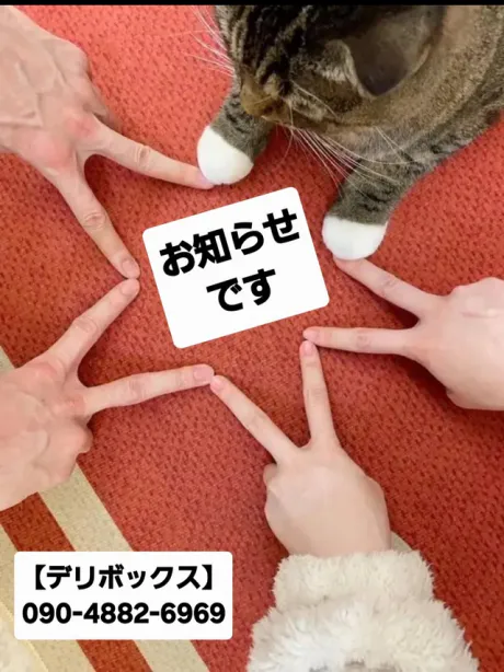 めい (魅惑のEカップ、パイパン嬢)デリボックス