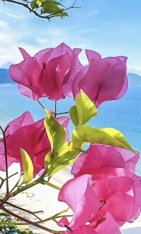 おはようございます/【人妻コース】ちさと