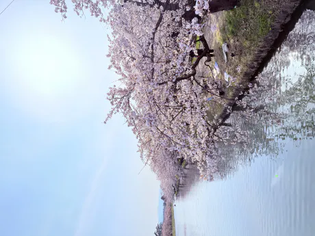 りお（青森店）JKプレミアガール青森・弘前店