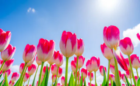 そら仙台人妻花こよみ