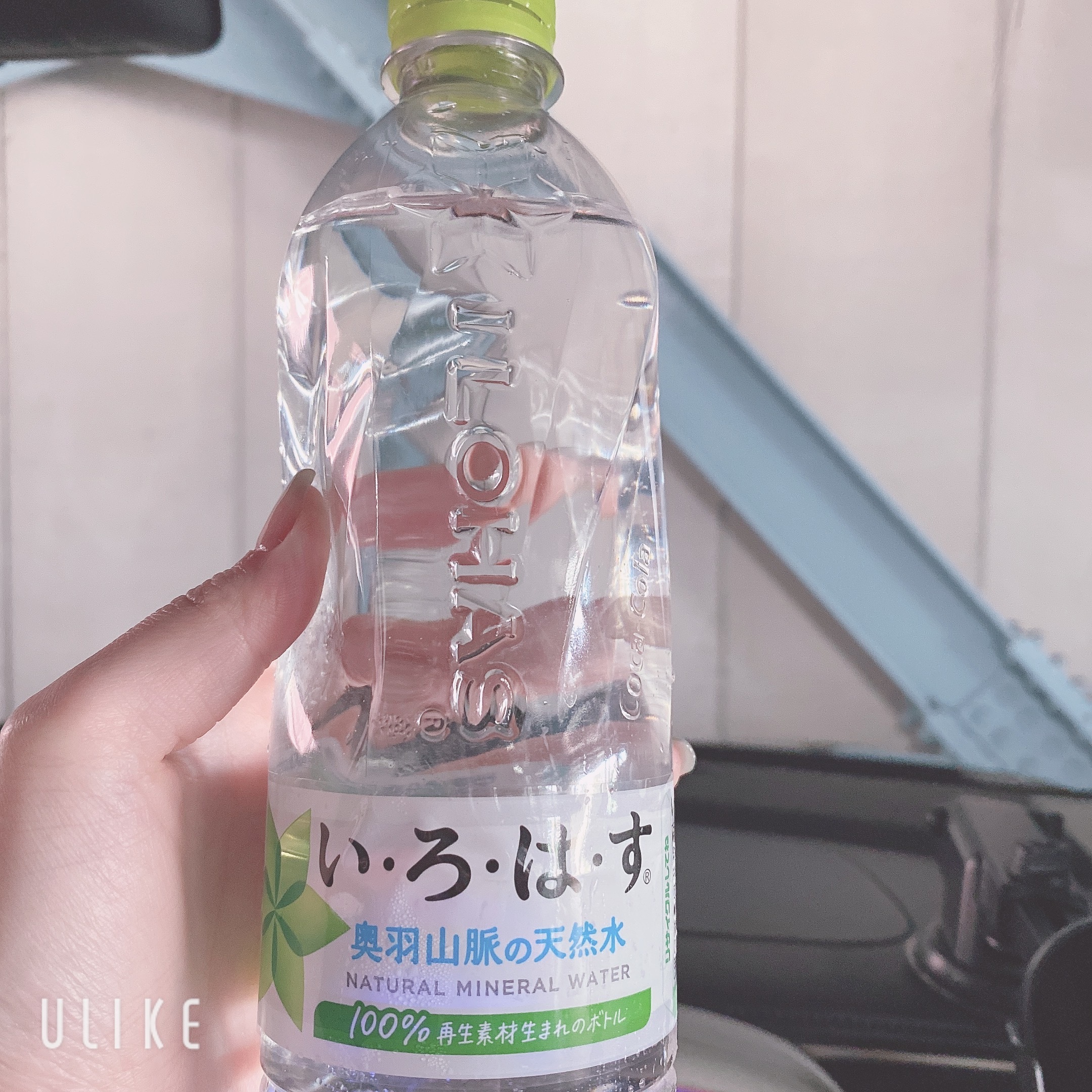 昨日のお礼