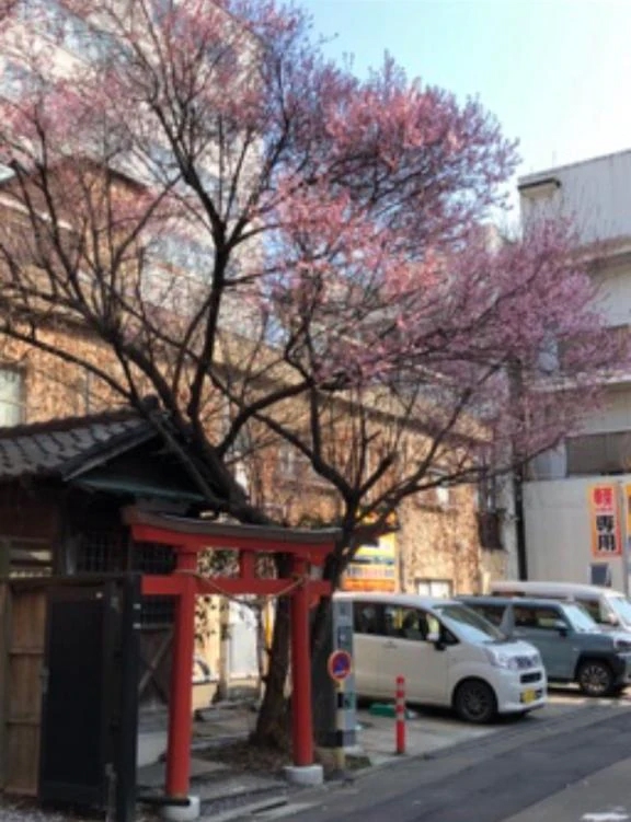 立町ん歩(たちまちんぽ)♪