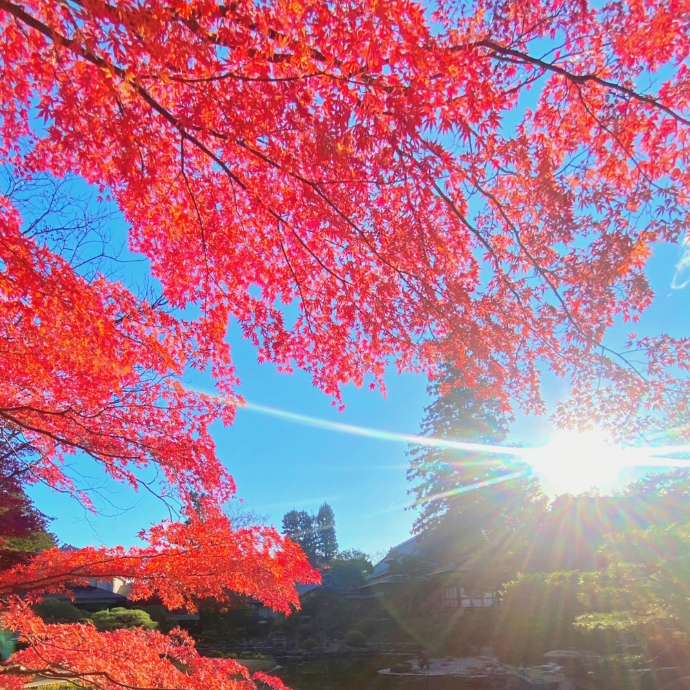 出勤します、ついに 