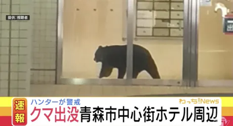 |  ̫ o̴̶̷̤ ̳՞)⟡ 蔀邪識 