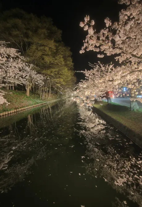 04/24 20:154/9 Akane 激レア☆【26、29弘前】