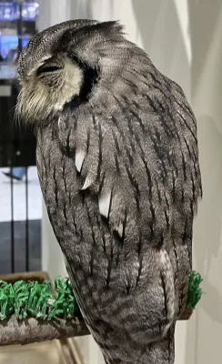 みか 奥様のブログ びしょびしょ