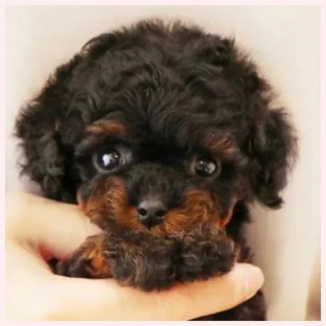 みう★超潮吹き淫乱奥様隣の人妻お口で愛して