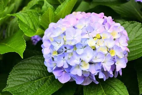 鈴夏(すずか)のブログ 到着です(*´∀`*)ノ