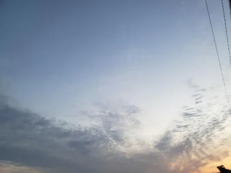 おはようございます。/高山（たかやま）