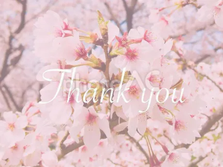 みさこのブログ 本日のお礼です💌