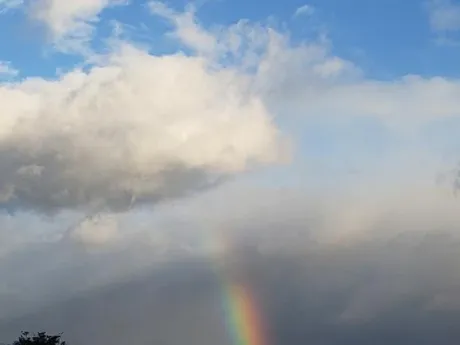 おはようございます。/高山（たかやま）
