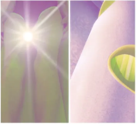 くるみ 奥様仙台人妻セレブリティー