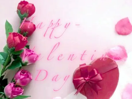 みい奥様鉄道69　仙台店