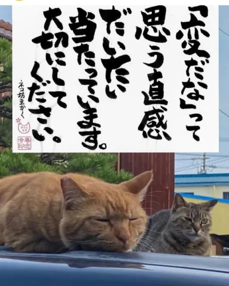 おはようございます♡
