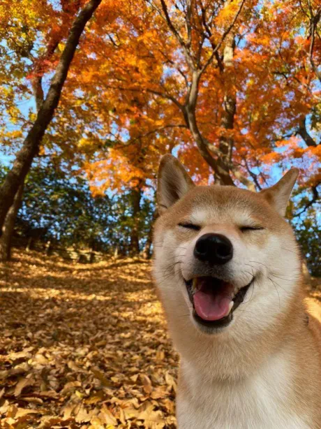 さむーい (。> д <)/★あん奥様
