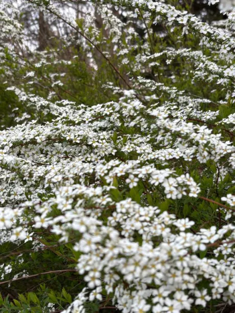 急遽ですが退勤します💦/新人りの