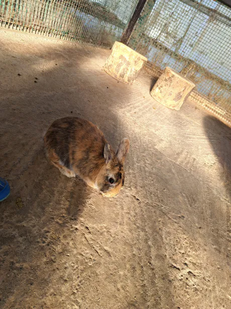 今、お店にいます！/ちひろ（沿岸）〔即プレイOK〕