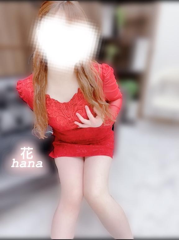 かたいの…当たってるよ？♡🌻