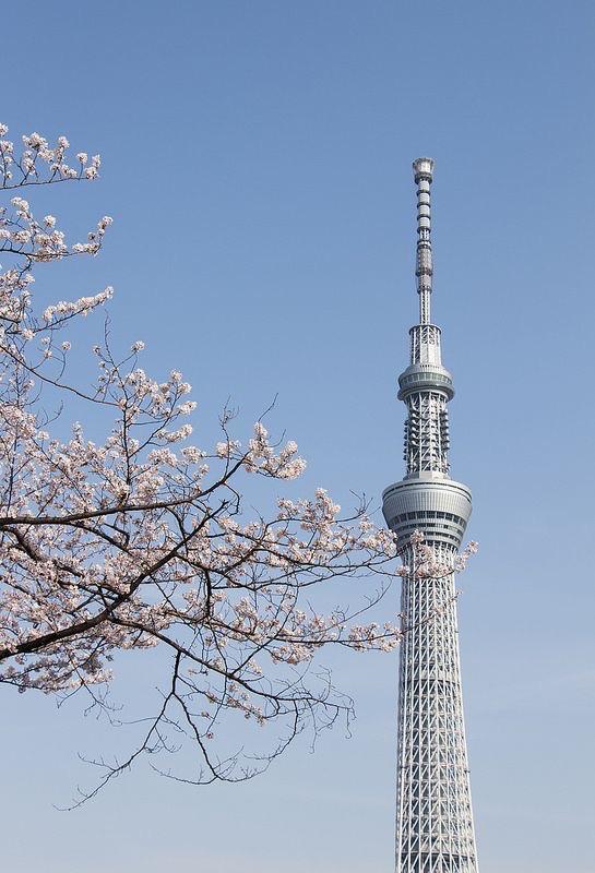 東京出張