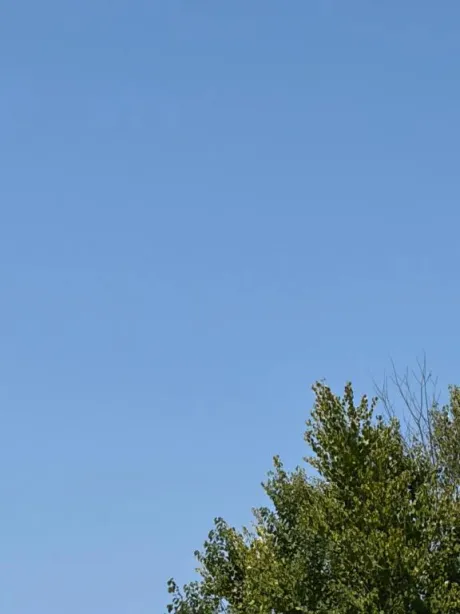 おはよう☀️/風俗初体験 こはる