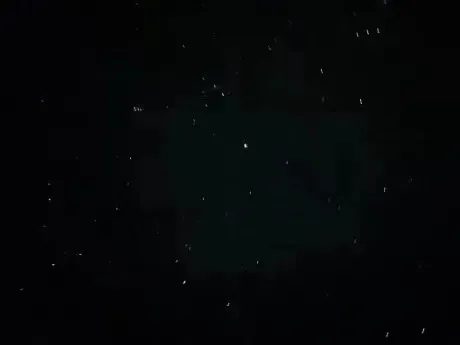 みんなの休日は？/あんな