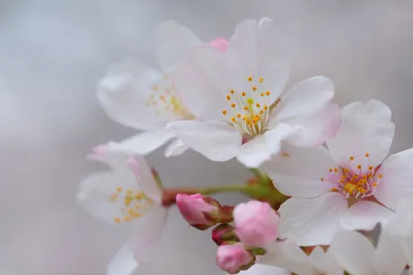 三連休/ゆりか