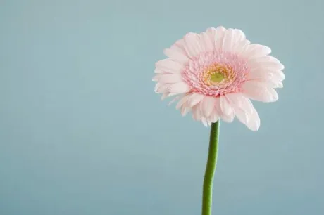 凛花(りんか)グランドオペラ福岡