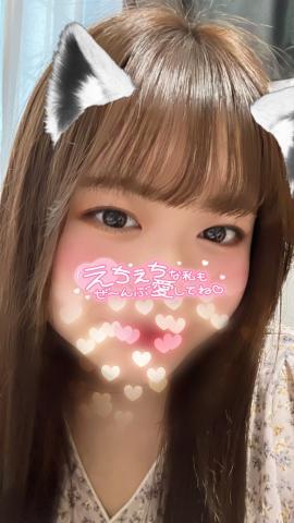明日16時～🐱️🩵