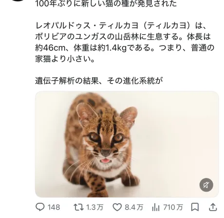 100 年ぶり?!!😳😳😳😳