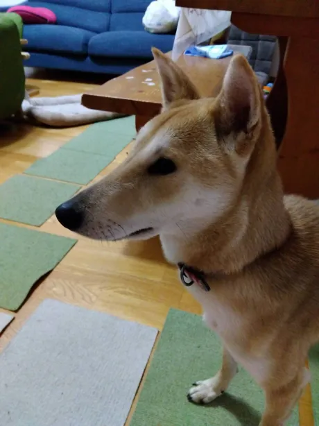 みおのブログ 申し訳ないです??♀?