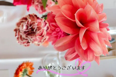 今日のお礼/ゆりか