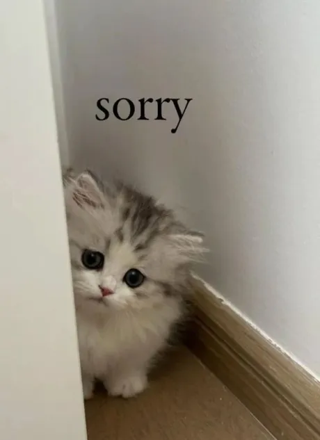 🔴😢皆様にご報告😭🔴