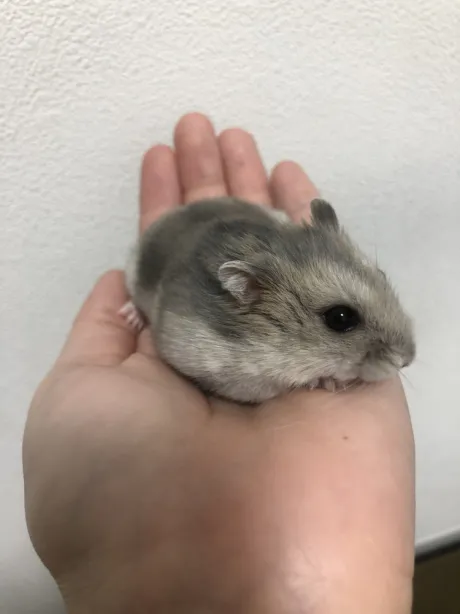 本日も /ナツメ