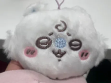 こんにちは🐣