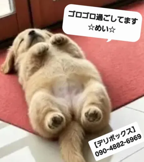 ★お休みブログ★