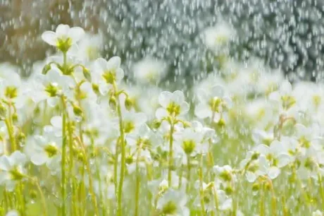 ゆきえのブログ 満たされた