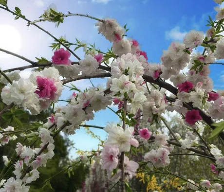 ご新規さま🎀/☆ともか奥様
