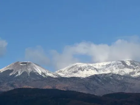 仲村（なかむら）熟女屋本舗