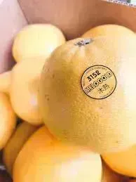 新人あず奥様メモリアル