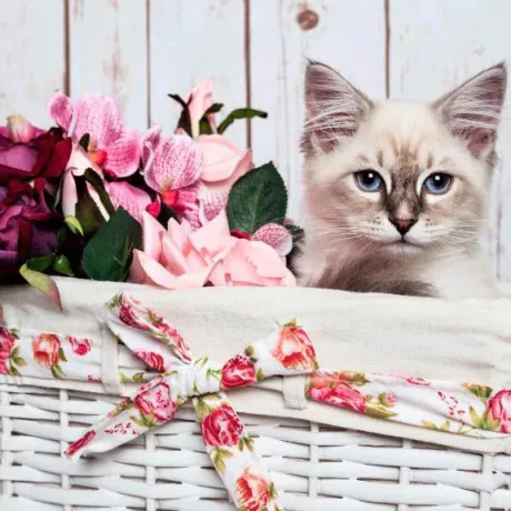 ゆり即プレイ専門店　性の極み