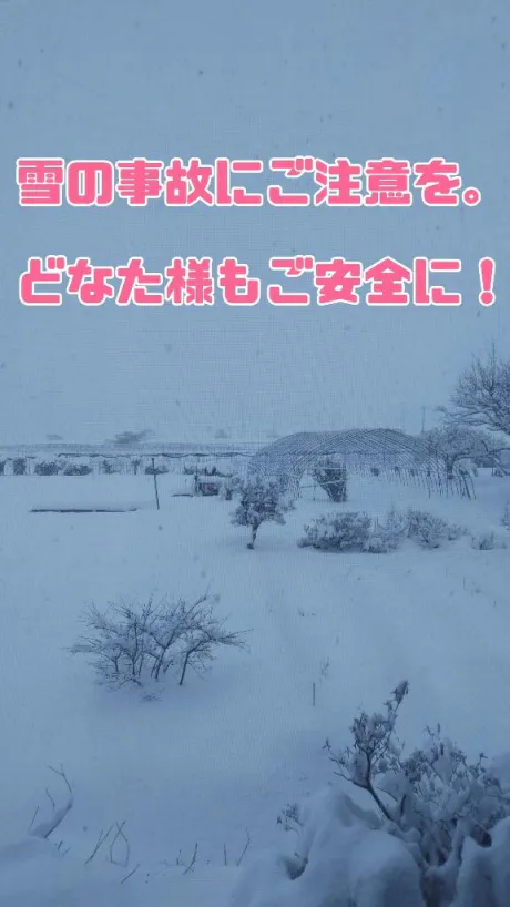 まずいですよ！/あんじゅ