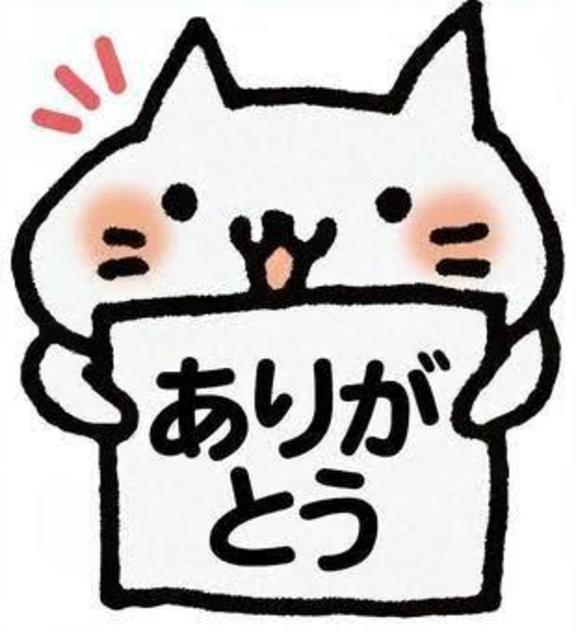 おやすみなさい(*´-`)