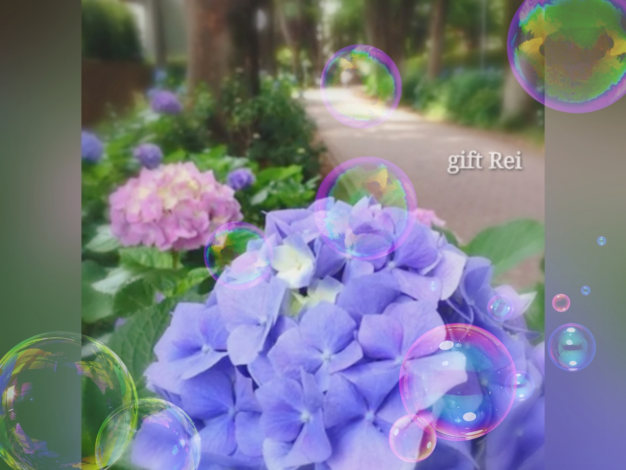 お知らせデス